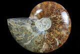 Polished, Agatized Ammonite (Cleoniceras) - Madagascar #76102-1